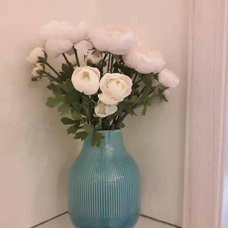 Gasthuis San Felice 135 - 3 Bologna